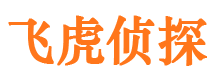 内乡市侦探